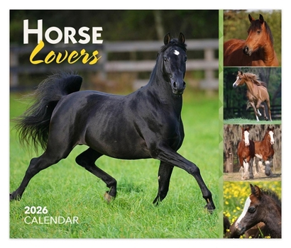 Paper Catalog Horse Lovers 2026 6 X 5 Inch Daily Desktop Box Calendar New Page Every Day Book