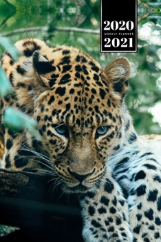 Panther Leopard Cheetah Cougar Week Planner Weekly Organizer Calendar 2020 / 2021 - Deep in Jungle: Cute Wildlife Animal Pet Bullet Journal Notebook Diary in 6” x 9” Inch Pocket Size