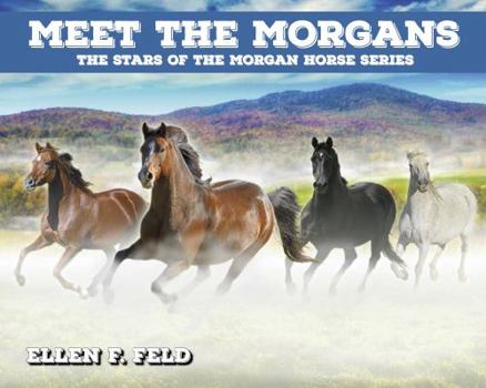 Paperback Meet The Morgans: The Stars of the Morgan Horse Series (Morgan Horse Series, Book 8) Book