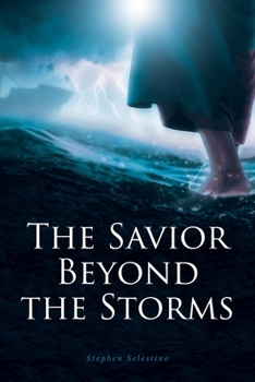 Paperback The Savior Beyond the Storms Book