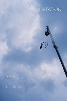 Paperback Visitation: poems Book