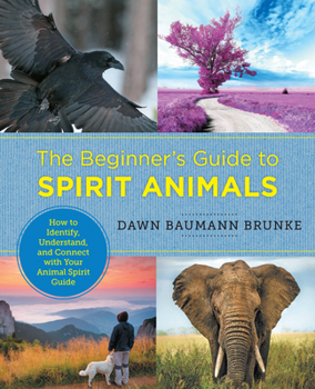 Paperback The Beginner's Guide to Spirit Animals: How to Identify, Understand, and Connect with Your Animal Spirit Guide Book