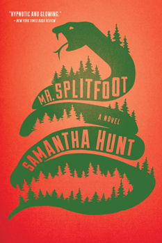 Paperback Mr. Splitfoot Book