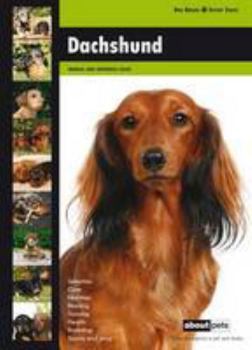 Hardcover Daschund (Dog Breed Expert Series) Book