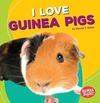 Paperback I Love Guinea Pigs Book