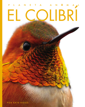 Library Binding El Colibrí Book