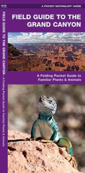 Pamphlet Field Guide to the Grand Canyon: A Folding Pocket Guide to Familiar Plants and Animals Book