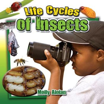 Paperback Life Cycles of Insects Book