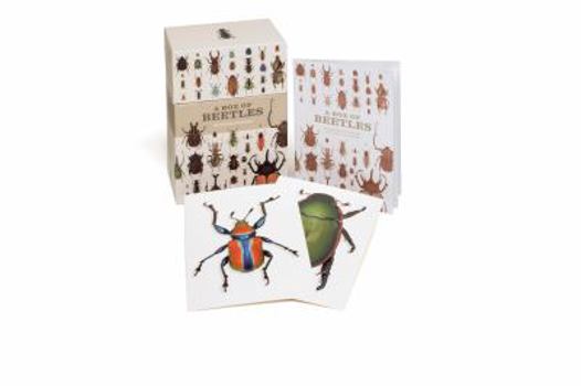 Card Book A Box of Beetles: 100 Beautiful Postcards Book