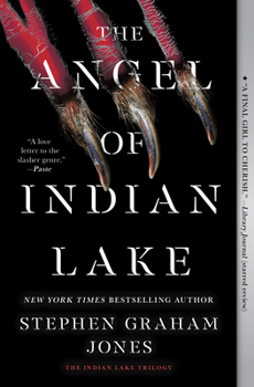 The Angel of Indian Lake (3) - Book #3 of the Indian Lake Trilogy