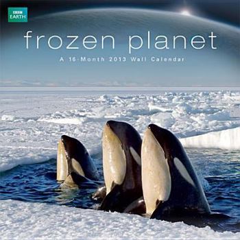 BBC Earth: Frozen Planet Calendar
