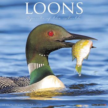 Calendar Loons 2020 Wall Calendar Book