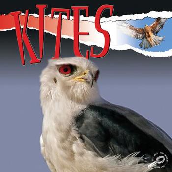 Hardcover Kites (Raptors) (Raptors (Rourke Library)) Book