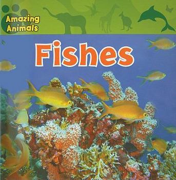Fishes - Book  of the Amazing Animals