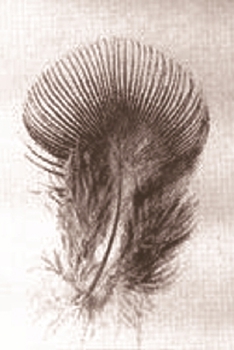 Fors Clavigera: Letters to the Workmen and Labourers of Great Britain