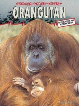 Orangutang - Book  of the Animals Under Threat
