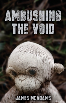 Paperback Ambushing the Void Book
