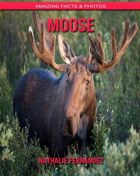 Moose: Amazing Facts & Photos