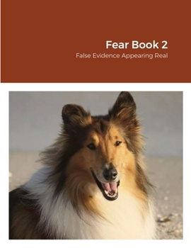 Paperback Fear Book 2: False Evidence Appearing Real Book