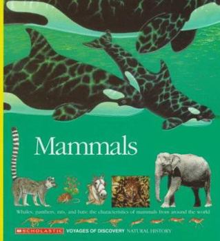 Spiral-bound Mammals: Whales, Panthers, Rats, and Bats: The Characteristics of Mammals from Around the World Book