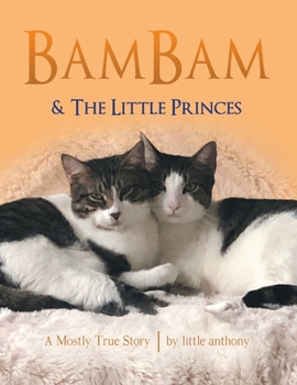 Paperback BamBam & The Little Princes: A Mostly True Story Book