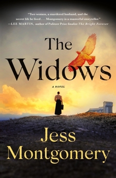 Paperback Widows Book