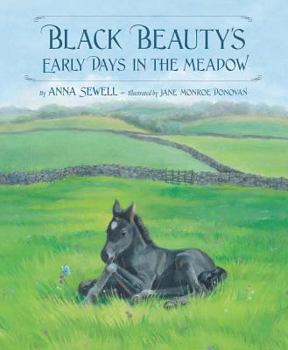 Hardcover Black Beauty's Early Days in the Meadow Book