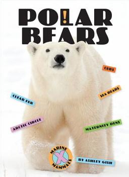 Paperback Polar Bears Book