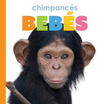 Chimpancés bebés (Spanish Edition)