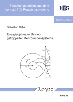 Paperback Energieoptimaler Betrieb Gekoppelter Mehrpumpensysteme [German] Book