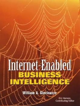 Paperback Internet-Enabled Business Intelligence Book