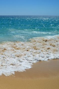 Paperback Journal: 150 Dot Grid Sheets, 6x9 Inches, Ocean, Plan Your Day and Organize Your Life, Tracker, Productivity, Diary, Notebook Book