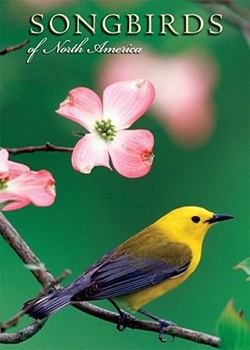 Hardcover Songbirds of North America Notecards Book
