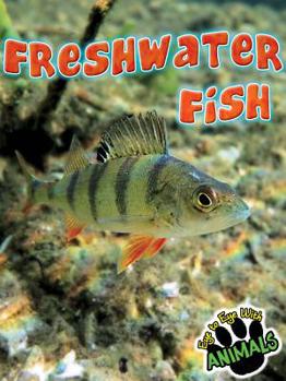Paperback Freshwater Fish Book