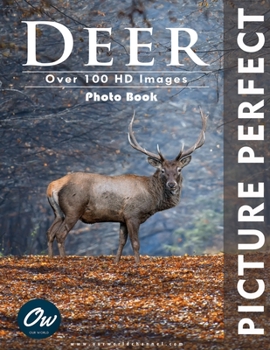 Paperback Deer: Picture Perfect Photo Book