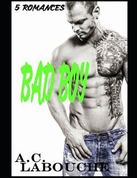 Paperback Bad Boy: 14 Historias M/M & Bi [Spanish] Book