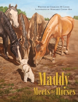 Hardcover Maddy Meets the Horses Book