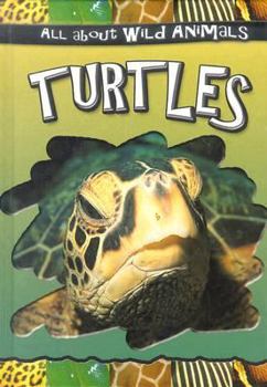 Library Binding Turtles Book