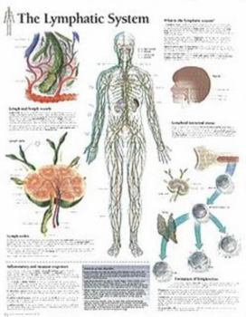 Misc. The Lymphatic System Chart: Wall Chart Book
