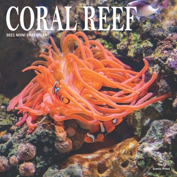 Paperback Coral Reef: 2021 Calendar Book