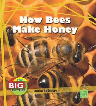 Library Binding How Bees Make Honey Book