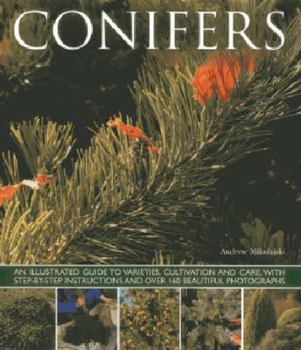 Paperback Conifers: An Illustrated Guide to Varieties, Cultivation and Care, with Step-By-Step Instructions and Over 160 Beautiful Photogr Book