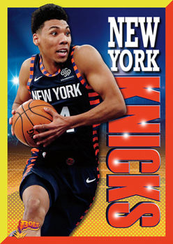 Paperback New York Knicks Book