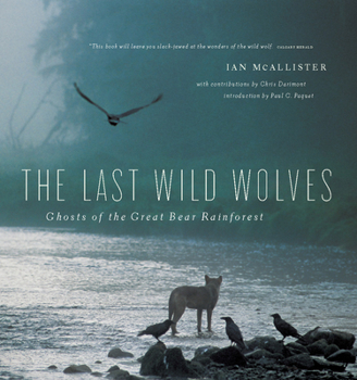 Paperback The Last Wild Wolves: Ghosts of the Rain Forest Book