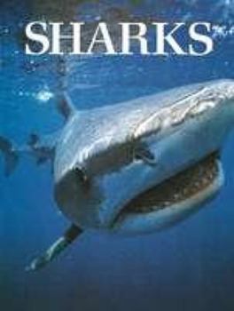 Hardcover Sharks Book