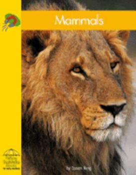 Mammals - Book  of the Yellow Umbrella Books: Science