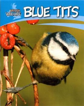 Hardcover Blue Tits (British Wildlife) Book