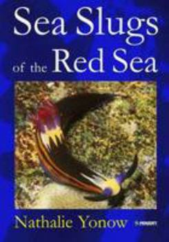 Hardcover Sea Slugs of the Red Sea Book