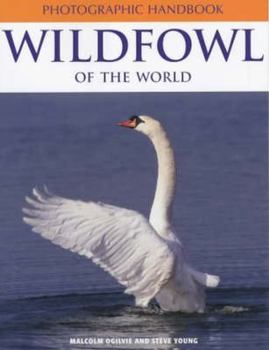 Paperback Photographic Handbook: Wildfowl of the World Book