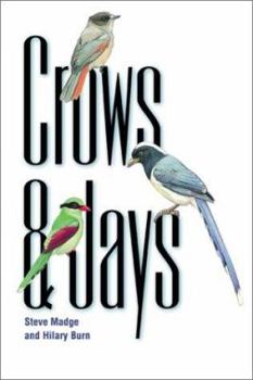 Crows and Jays: A Guide to the Crows, Jays and Magpies of the World (Helm Identification Guides)